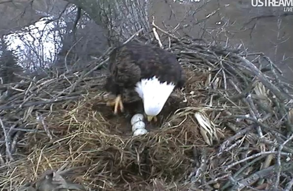 ScreenHunter_02 Mar. 02 17.02.jpg